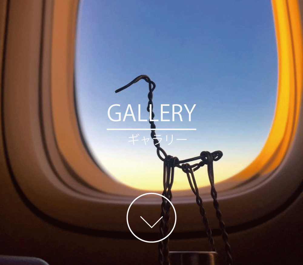 %e3%82%ad%e3%82%99%e3%83%a3%e3%83%a9%e3%83%aa%e3%83%bc